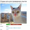   Продам на Авито все!
